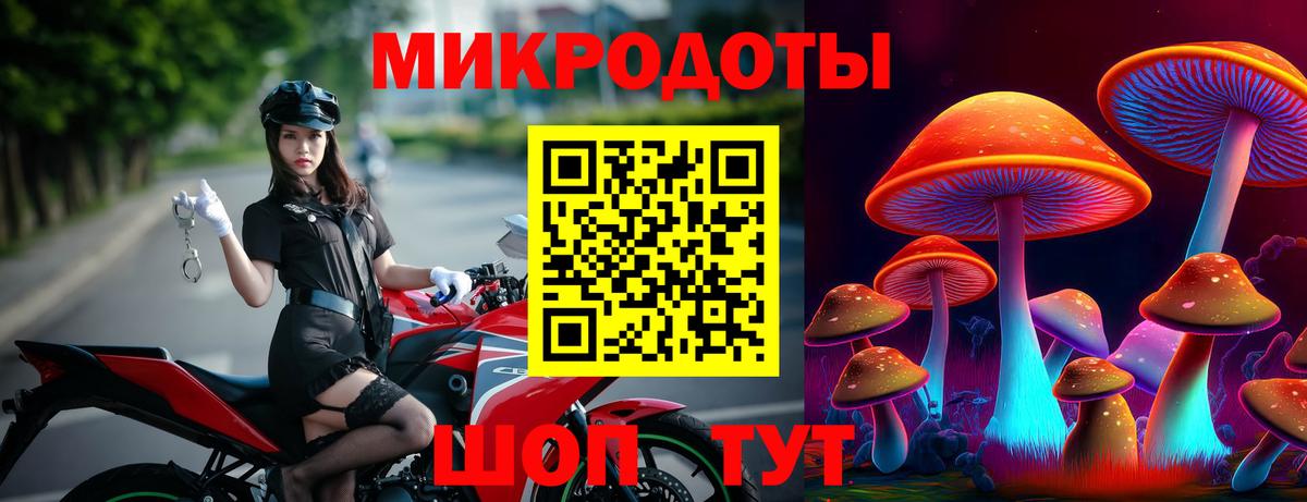 Псилоцибиновые грибы прущие грибы Старая Русса